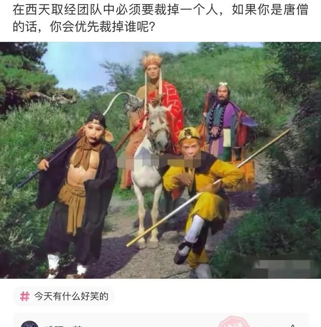 罗翔律师官司胜率图24