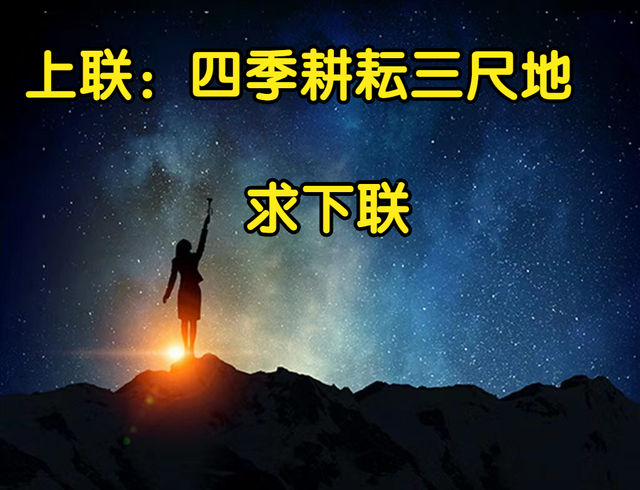 罗翔律师官司胜率图33