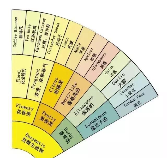 瑰夏翡翠庄园绿标图26