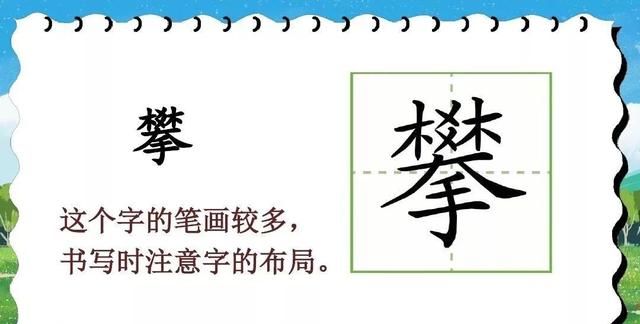 知识点+练习题 】部编版五年级语文上册 17 松鼠图12