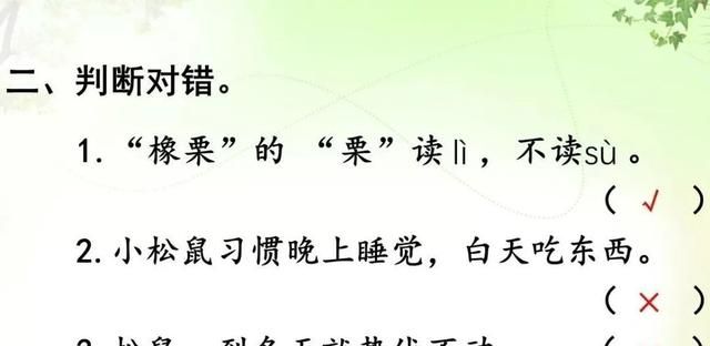 知识点+练习题 】部编版五年级语文上册 17 松鼠图15