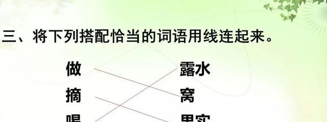 知识点+练习题 】部编版五年级语文上册 17 松鼠图16