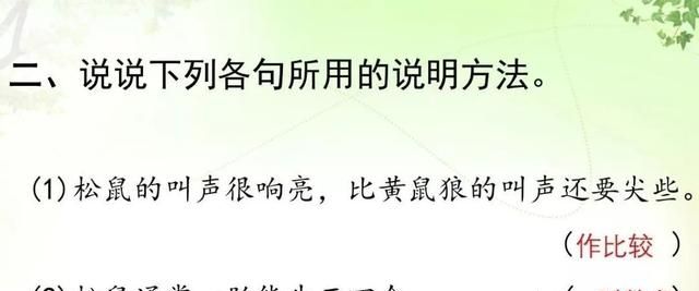 知识点+练习题 】部编版五年级语文上册 17 松鼠图18