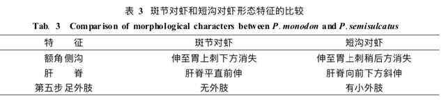 对虾的内部结构(养虾人必读对虾虾病判断的小技巧)图14