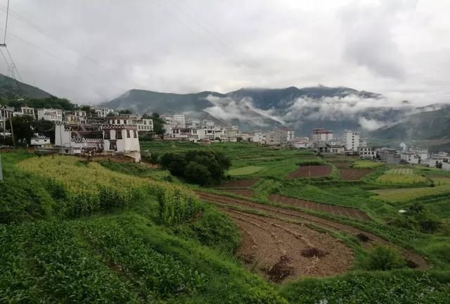 一茶一饭一人生,一杯乡茶一份守候图6