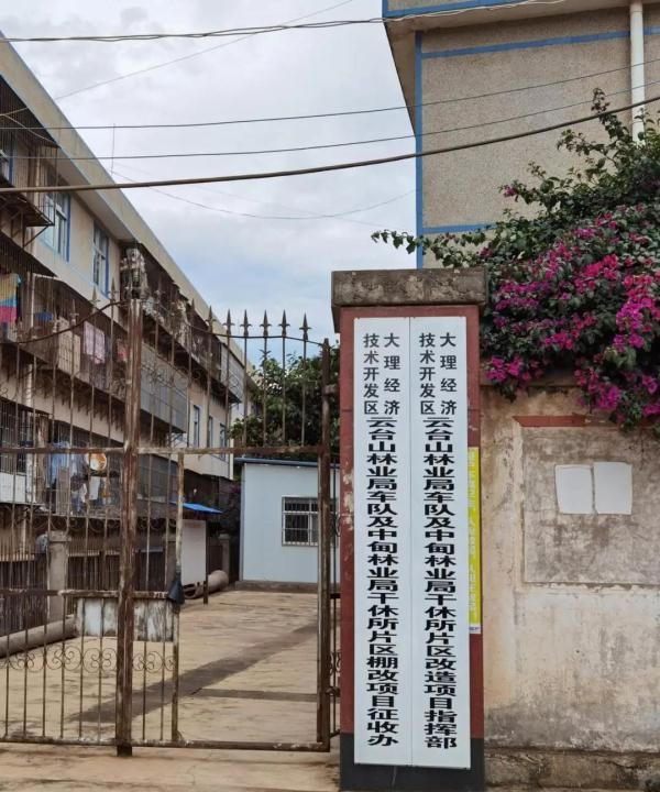 张桂梅的学生回到华坪女高教书图3