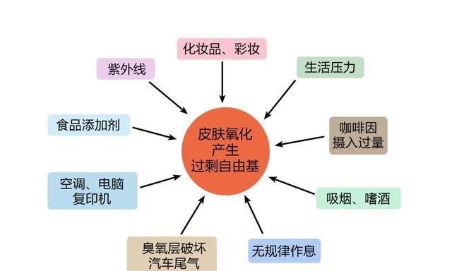 为什么清除自由基只可以延缓衰老图1