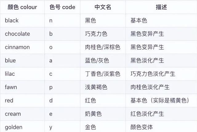 英短猫金渐层和蓝金渐层哪个好,蓝金点渐层猫和银渐层区别图4