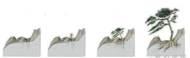 风化作用是怎么回事图11