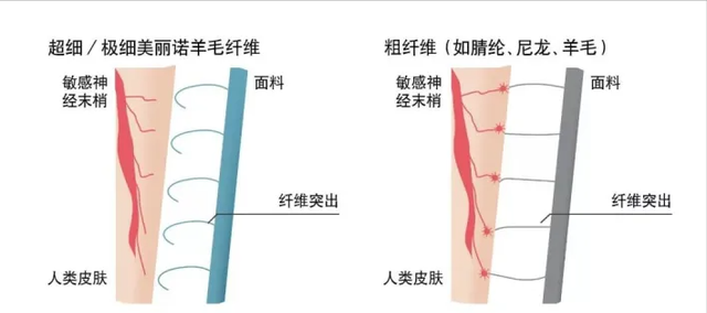 始祖鸟最保暖的内衣图8