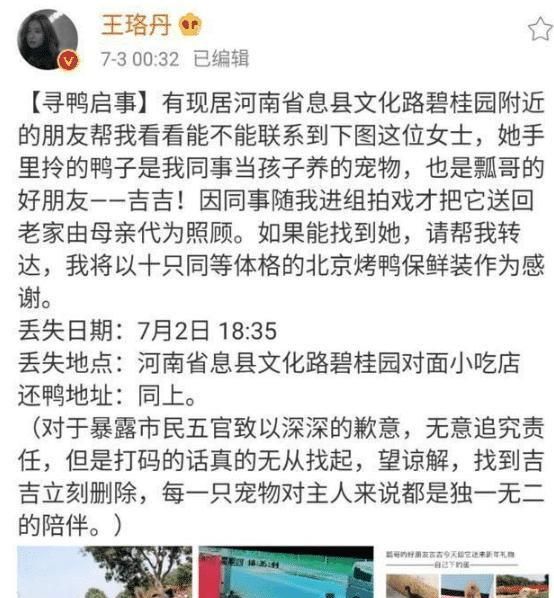 王珞丹寻鸭启事后续(王珞丹谈寻鸭启事)图1