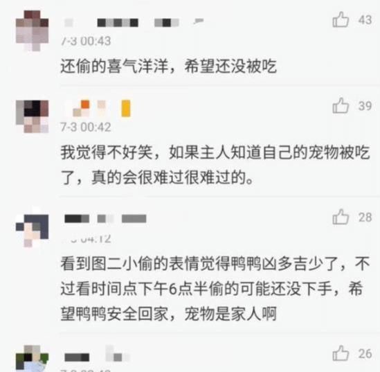 王珞丹寻鸭启事后续(王珞丹谈寻鸭启事)图4