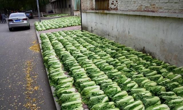 能一统东北三省美食江湖的，只有饺子图10