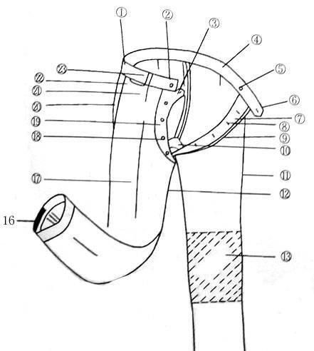 服装部位名称代号中英文对照图15