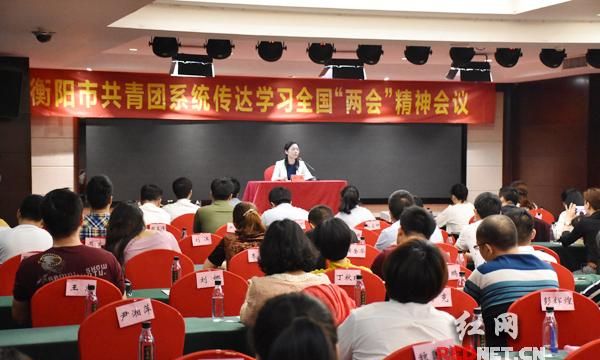 学习宣传贯彻全国两会精神 衡阳共青团系统在行动图1