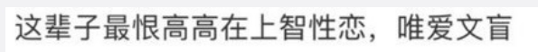 是裸贷，是超爱？天才导演vs人气顶流，什么旷世奇恋图24