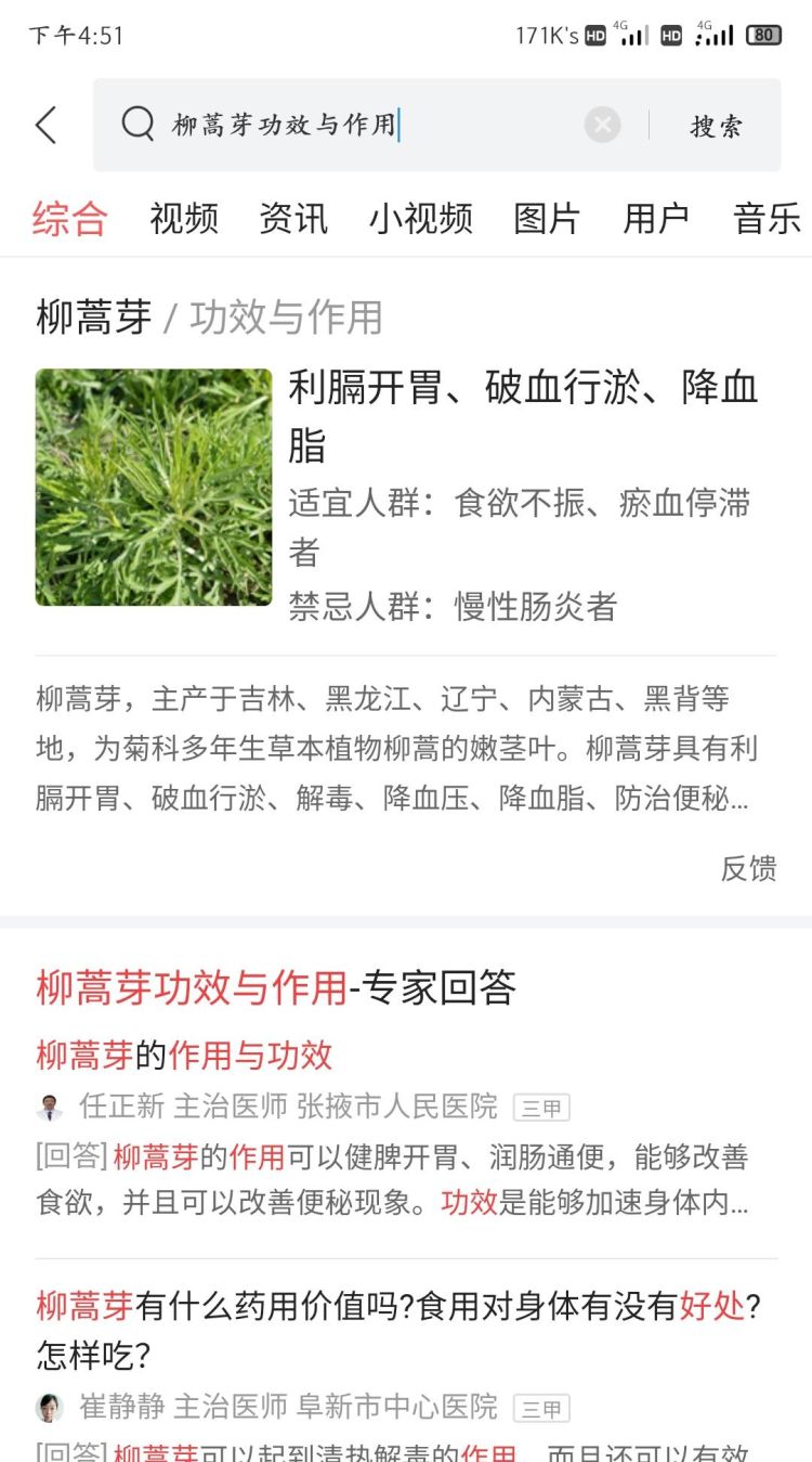 除了艾草还有什么野菜能吃图5