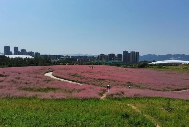 重庆北碚三月免费看花最好去处图17