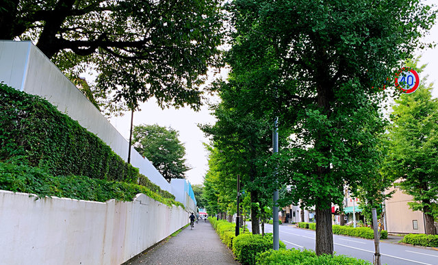 取得日本永久居住权,去日本居住证办理流程图1