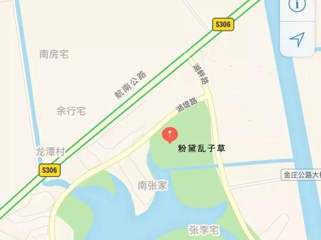 粉黛乱子草打卡网红地,南河渡粉黛乱子草网红打卡地图46