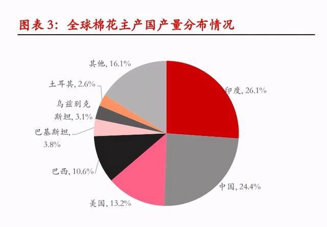 新疆棉花有多重要(为何新疆棉花如此重要)图1