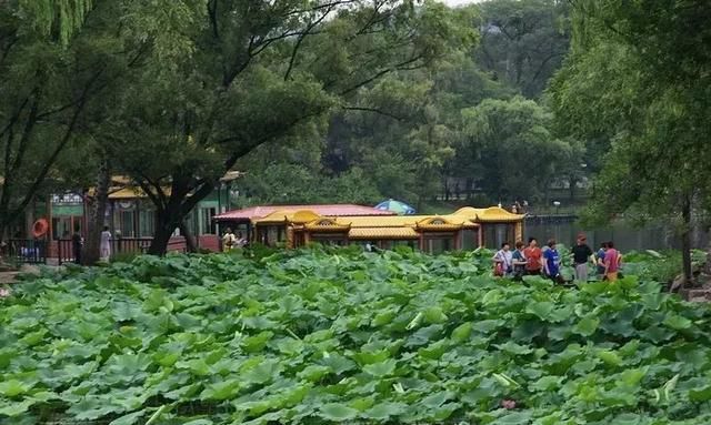 北京京郊景点大全排名榜,北京游玩推荐小众景点攻略图31