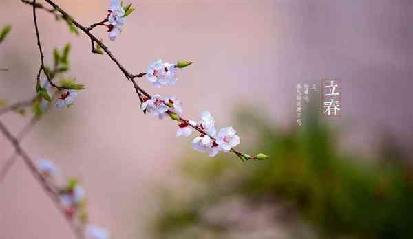 今日立春天气变暖和了吗,关于立春后天气回暖的句子图1