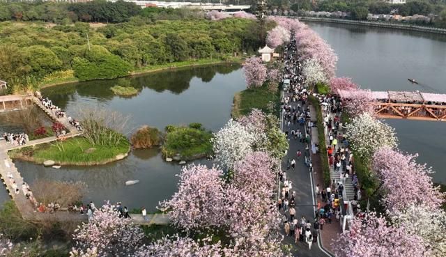 今日凌晨4点33分(来了就在今天17时37分)图2