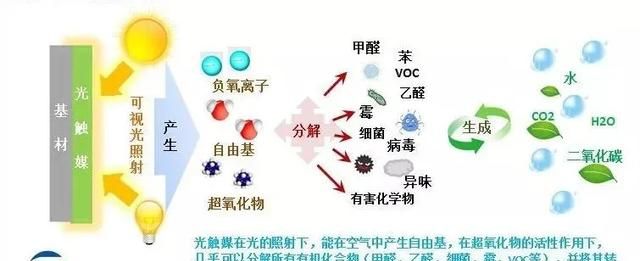 快速除甲醛神器的正确使用方法图17