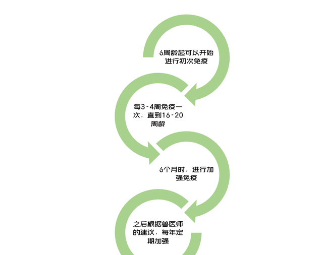 猫咪疫苗驱虫大概多少钱,猫咪疫苗驱虫知识图5