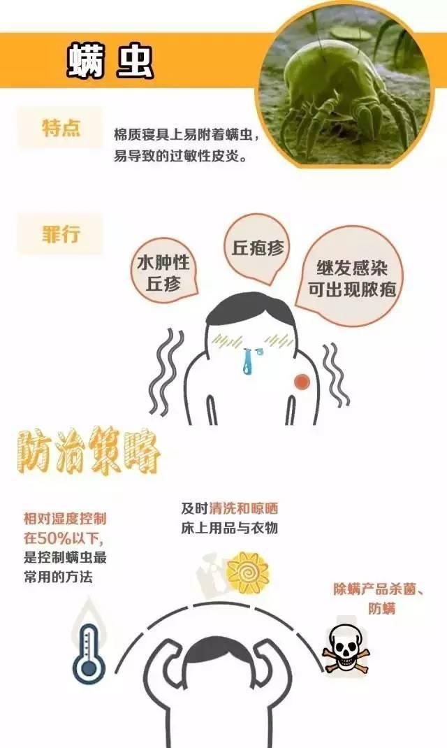 睡觉被小蜈蚣咬了刺痛,被蜈蚣咬到太阳穴图6