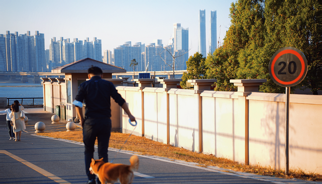 南昌十大浪漫餐厅排名,南昌独有的浪漫图4