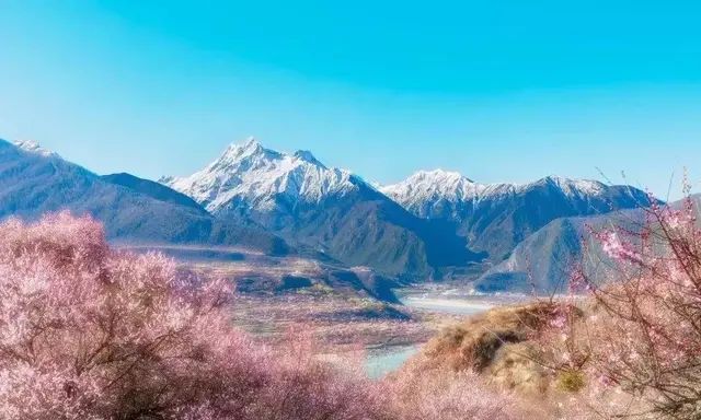 林芝,西藏旅行的第一站是哪里(西藏林芝最新消息今天)图19