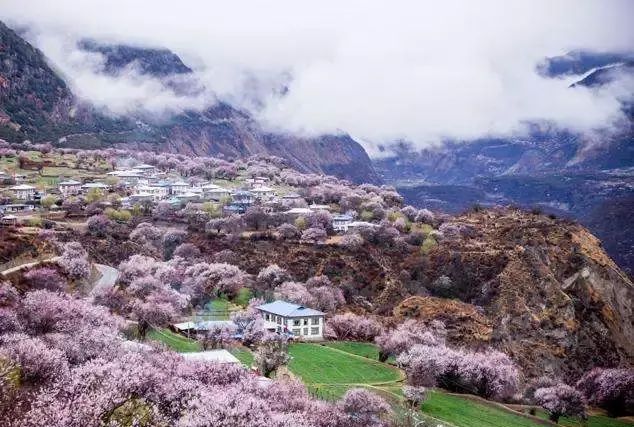 林芝,西藏旅行的第一站是哪里(西藏林芝最新消息今天)图20