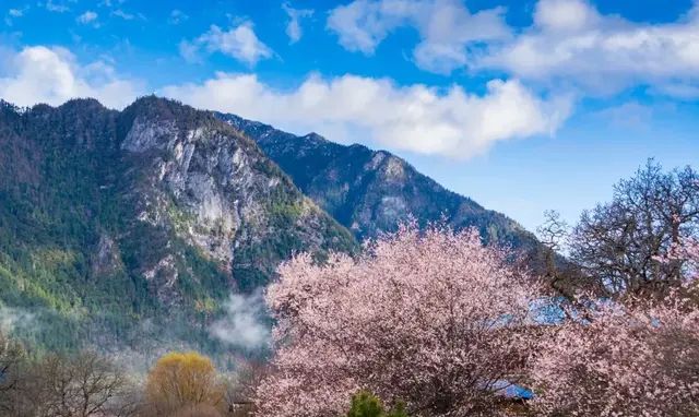 林芝,西藏旅行的第一站是哪里(西藏林芝最新消息今天)图23