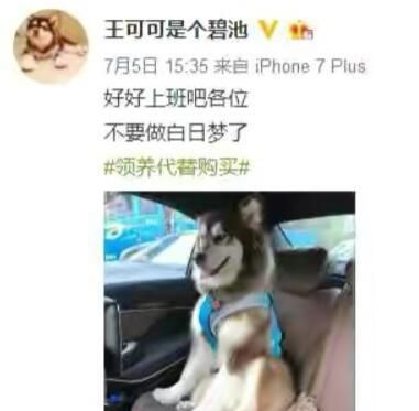 王思聪带新女友吃路边摊超开心,王思聪带女友吃路边摊图8