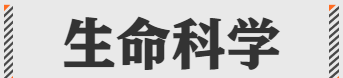 互联网十大高级黑话,2018年中国互联网发展十大动向图13