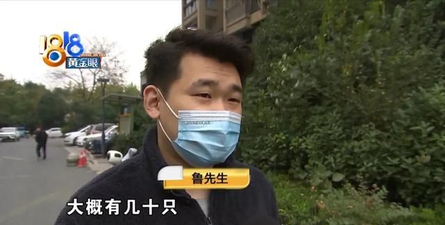 房子除虫“除不尽”丈人接走老婆孩子图1