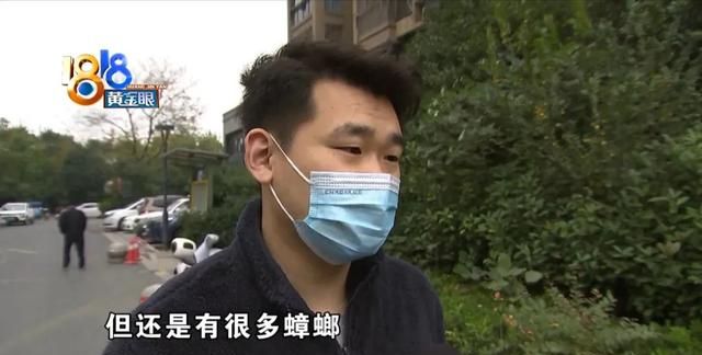 房子除虫“除不尽”丈人接走老婆孩子图3