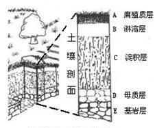 地理笔记土壤,高一地理必修一土壤课堂笔记图1