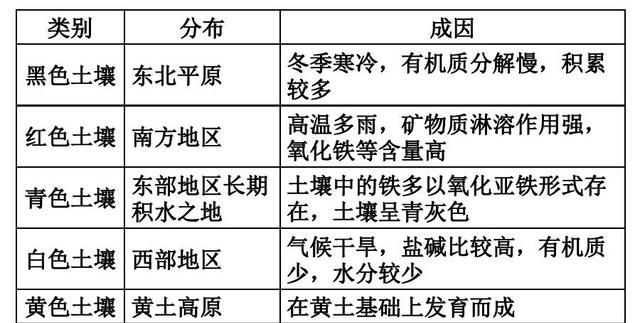 地理笔记土壤,高一地理必修一土壤课堂笔记图3