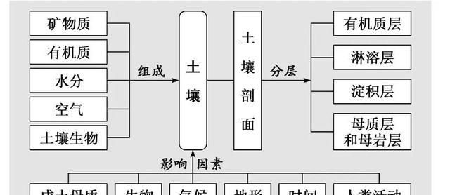 地理笔记土壤,高一地理必修一土壤课堂笔记图4