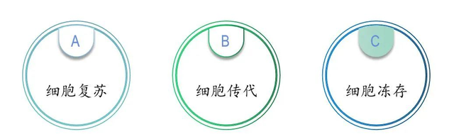 细胞培养新手入门教程图2