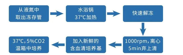 细胞培养新手入门教程图3