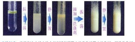 化学中考溶液考查的知识点图2