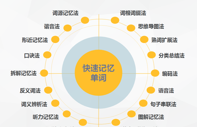 青岛大学张英老师图3