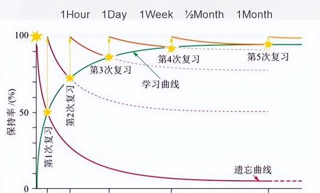 青岛大学张英老师图4