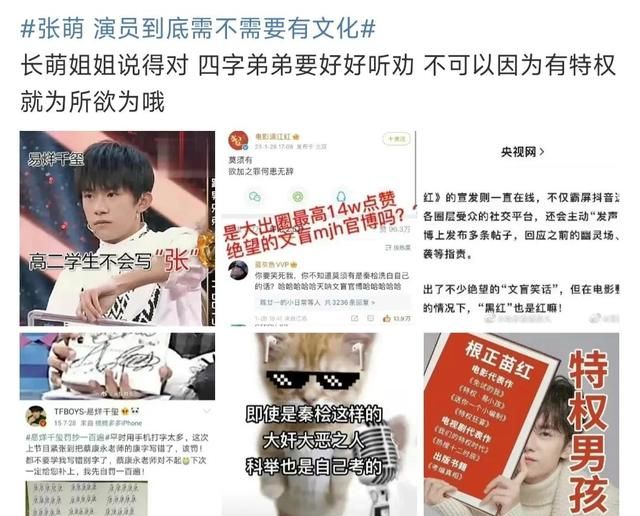 张萌谈演员到底需不需要有文化,圈内人对张萌的评价怎么样图8