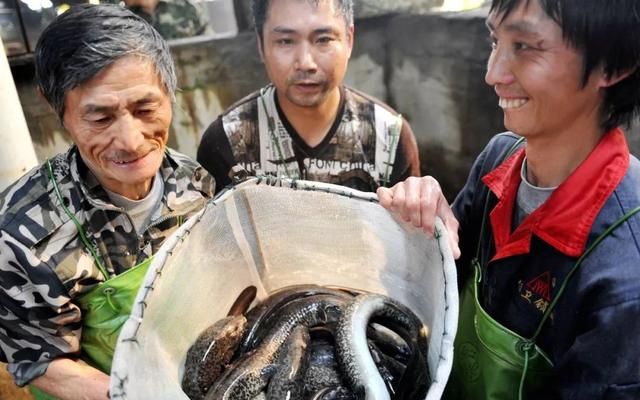 在日本一流的鳗鱼饭是什么样的图6