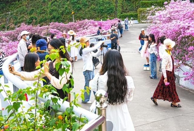 逛仙湖要预约凭票入园吗,深圳仙湖植物园入园老人要预约吗图1